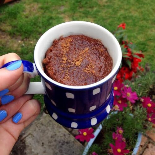 Chocolate Cake in a Mug | Easy Vegan Recipe For 1