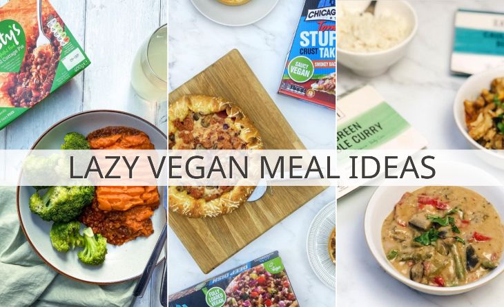 21+ LAZY VEGAN MEALS when you Have No Time - Virtually Vegan